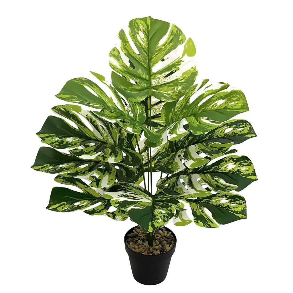Nordic Style Variegated Monstera: Potted Plant for Home & Garden Decor