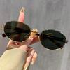 Trendy Oval Sunglasses UV400 Protection for Men Women Outdoor Sports Driving Punk Style Goggles Shades Fashion Eyewear