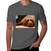 Chocolate Lab Tshirt Running Gym Short Sleeve Sports Tee