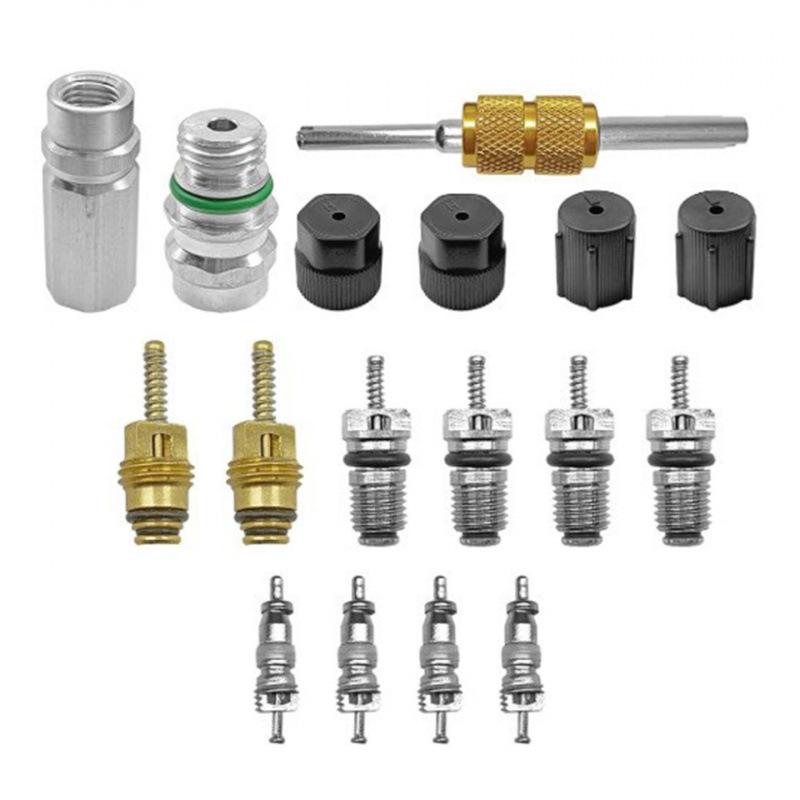 Kit de 17 Piezas de Vástagos de Válvula Schrader de Refrigeración R12 R134A para Coche, Tapas de Sellado para Puerto de Servicio y Carga, Núcleos de Válvula de Aire Acondicionado