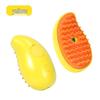 Electric One-Button Pet Spray Comb: Anti-Flyaway Steam Brush for Dogs & Cats