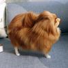 Realistisk Pomeranian Simulasjonsleketøy Hund Valp Livaktig Følgeleketøy Håndlaget Hengende Hund Kjæledyrleker Simulasjon Utstoppet