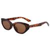 Foldable Sun Glasses Fashion Lightweight Sunscreen Glasses Sunglasses for Women