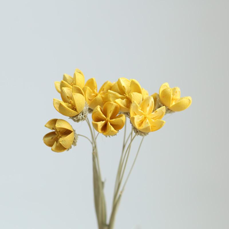 Yunnan Dried & Immortal Flowers Bouquet: Baby's Breath, Roses, Forget-Me-Nots for Home & Homestay Decor