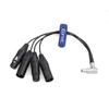 Eonvic zu XLRAtomos Breakout Audiokabel für Shogun Monitor-Recorder Winkel 10-Pin 2x3-Pin Ein-/Ausgang (Rechter 10-Pin)