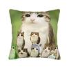 Pillow Cover Green Fruit Space Cat  Fashion Pillow Case For Sofa Home Decor Pillowcases