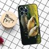 CARP FISHING Case For iPhone 16 15 14 11 12 13 Pro Max Mini X XR XS Max 7 8 16 15 Plus Cover Funda