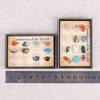 3x MagiDeal Earth Science Toys for Children Rock & Mineral Collection