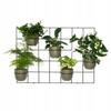 Modern Metal Wall Flower Stand Hedera 2 Black - Large Flower Trellis for Walls, Modular Plant Panel Vertical Garden with 5 Hoops 15