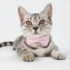 Gatos – Colares e correias para gatos