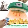 Boerderijdieren – Eierbroedmachines en accessoires