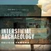 Interstitial Archaeology by Felicia Zamora Paperback Book 9780299353445