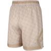 New Nike Casual Shorts Men's Khaki HQ8664-104