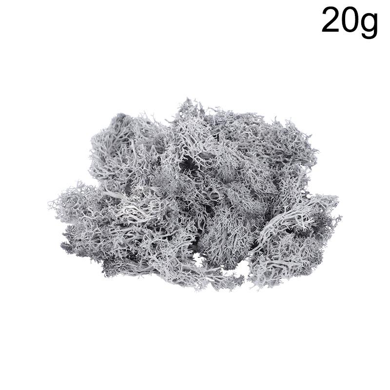 20g Artificial Preserved Moss Eternal Life Green Grass for DIY Crafts Mini Landscape Living Room Home Garden Decoration Supplies