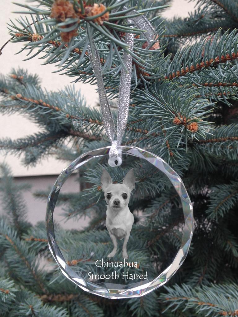 Chihuahua long-haired - crystal bauble with a photo, dog photo in crystal, personalized Christmas tree ornament by Art-Dog brand