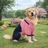 Pet Apparel Four Legged Pet Dog Jumpsuit Striped Warm Pet Sweatshirt Thickened Windproof Dog Pullover Hoodie Pet Supplies
