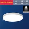 Modern LED Ceiling Light Energy-Saving Induction Radar Infrared Human Body Sensing Sound Control for Staircase Balcony Plastic