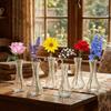 6PCS Vintage Mini Glass Vase Rustic Flower Holder Table Setting Hydroponic Vase  Desktop Adornment