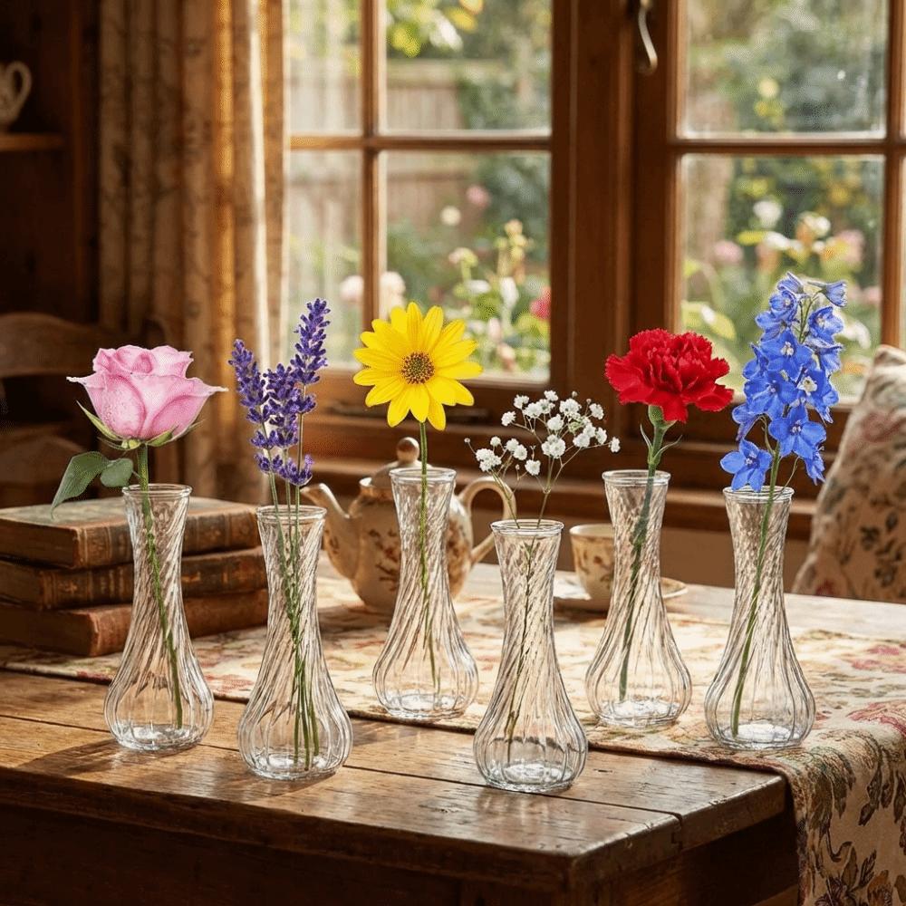 6PCS Vintage Mini Glass Vase Rustic Water Culture Vase Flower Holder  Dried Flower Display