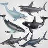 Educational Marine Animal Simulation Model: Dolphin, Humpback Whale, Megalodon, Orca Figures