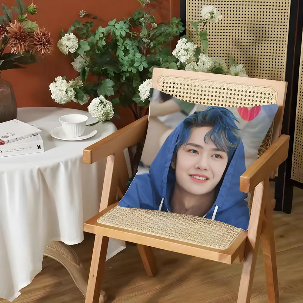 Actor WWang Yibo Cushion Cover Silky Short Plush Invisible Zipper Dustproof Sofa Pillow Case for Home Decor