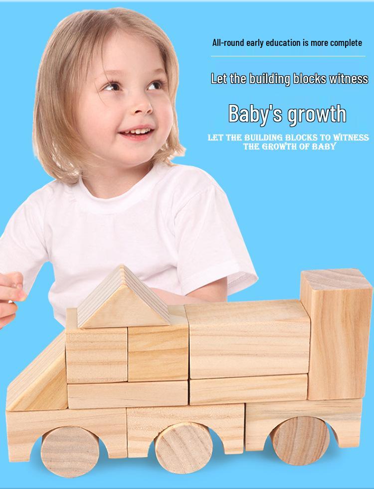 Montessori Educational Construction Toys: Children's Building Blocks Set for Kindergarten & Early Education