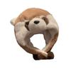 Winter Cute Cartoon Raccoon Plush Hat Female Cycling Thickened Ear Protection Hat Warm Lei Feng Hat North Cold Skiing