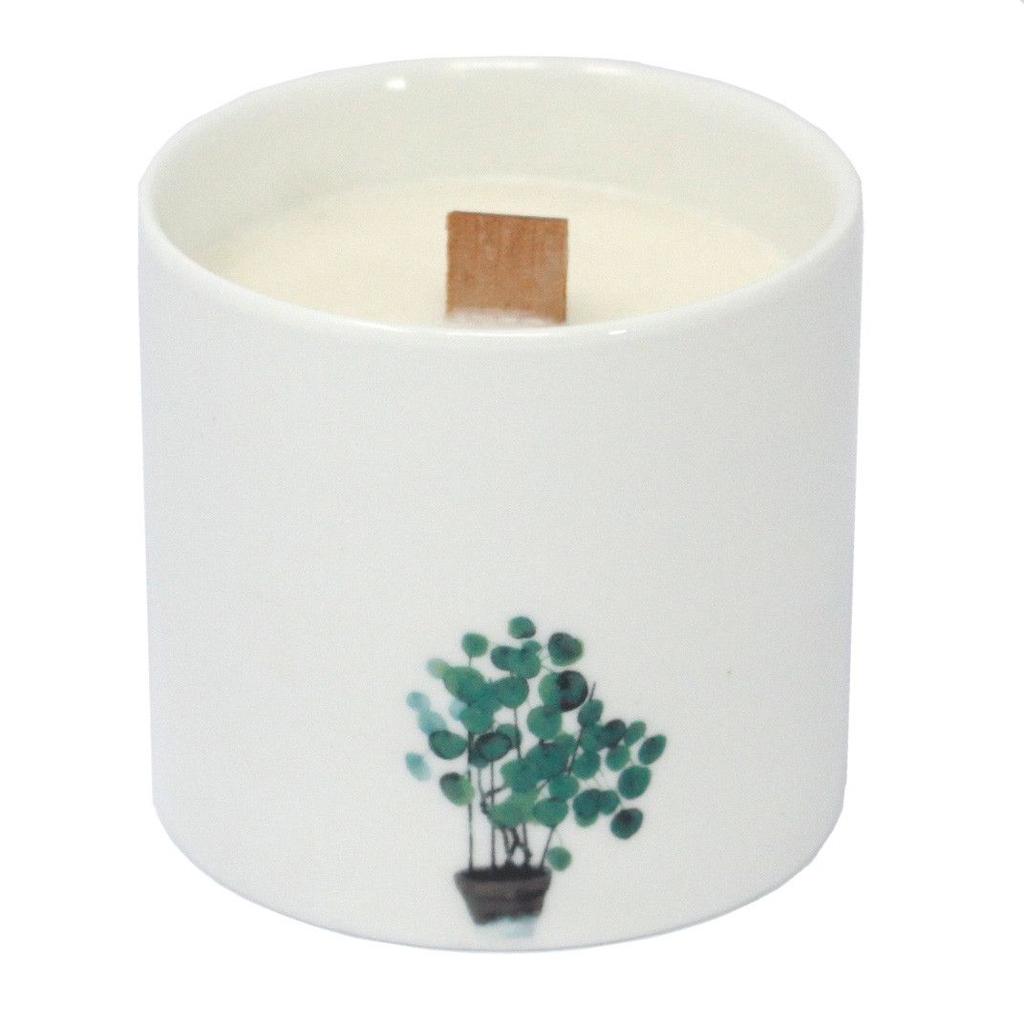 Scented Soy Candle, Marsh Viola Wood Wick