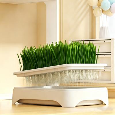 Kit Iarbă pentru Pisici Hidroponică cu 5 Pachete de Semințe Vas pentru Iarbă de Pisici Fără Sol pentru Pisici de Interior Kit de Cultivare a Ierbii de Grâu Cadou pentru Iubitorii de Pisici