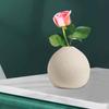 Nordic Flower Vases Elegant Decorative Vases for Home and Bedroom