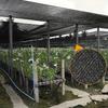 Telo Ombreggiante Nero Rete Parasole Bordo Nastro Con Occhielli, Rete Solare Per Pergola, Serra Piante, Giardini, Patio, Tettoia