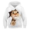 Boys Girls Cute Cat 3D Print Hoodie Children Hooded Pullover Sweatshirt Fashion Child Hoodies Kids Casual Tops Clothing