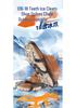 Stainless Steel 18-Tooth Ice Cleats: Non-Slip Shoe Covers for Snow, Mud, Climbing, and Mountaineering.