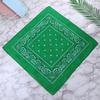 Neue Stirnbänder Unisex Baumwolle Bandana Kopftuch Headwraps für Frauen Designer Kopfbedeckung Doppelseitiges Stirnband Herren Masken Gesichtsschal