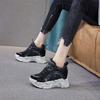Inner Height Increase Autumn and Winter 1 New Dad Shoes Platform Mesh Small Dirty Shoes Sports and Leisure Shoes