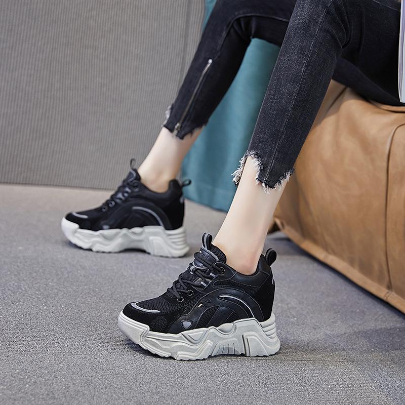 Inner Height Increase Autumn and Winter 1 New Dad Shoes Platform Mesh Small Dirty Shoes Sports and Leisure Shoes