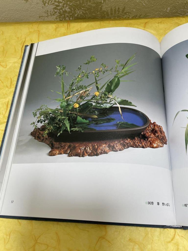 [USED] Arranging Waterside Nature-Based Waterworks Collection Ohara School Ohara School Editorial Office Flower Arrangement Fresh Flowers Ikebana
