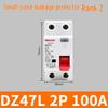 Delixi Mini Circuit Breaker DZ47L 2P/4P with Earth Leakage Protection, 63A/100A for Household Use
