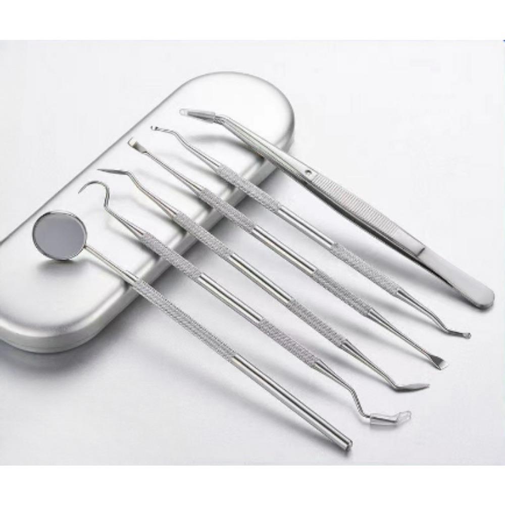 6-piece setSteel Dentist Clean Tools Dental Mirror Double Probe Sickle Hoe Tooth Cleaner Dental Tool Tooth Care Tool Kit