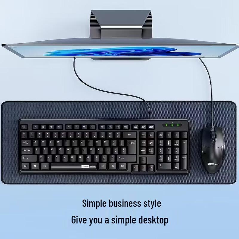 Lenovo Services PW11 Wired Keyboard Mouse Combo