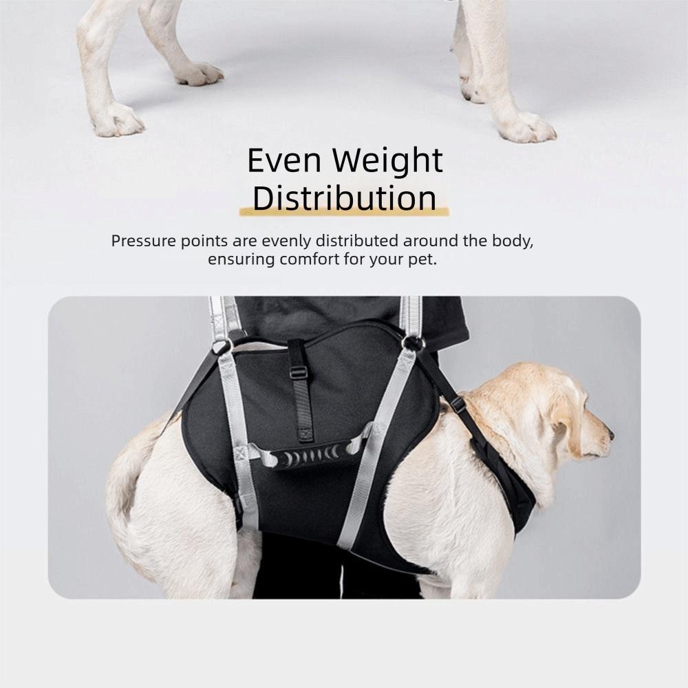 Adjustable Large Dog Lift Harness Reflective Support Recovery Sling Dog Sling Carrier Travel