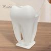 Creative Card Holder 3D Printed Business Holder, Tooth Shaped Matte White Organizer, Medical Style Desk Accessory Minimalist Ornament for Dental