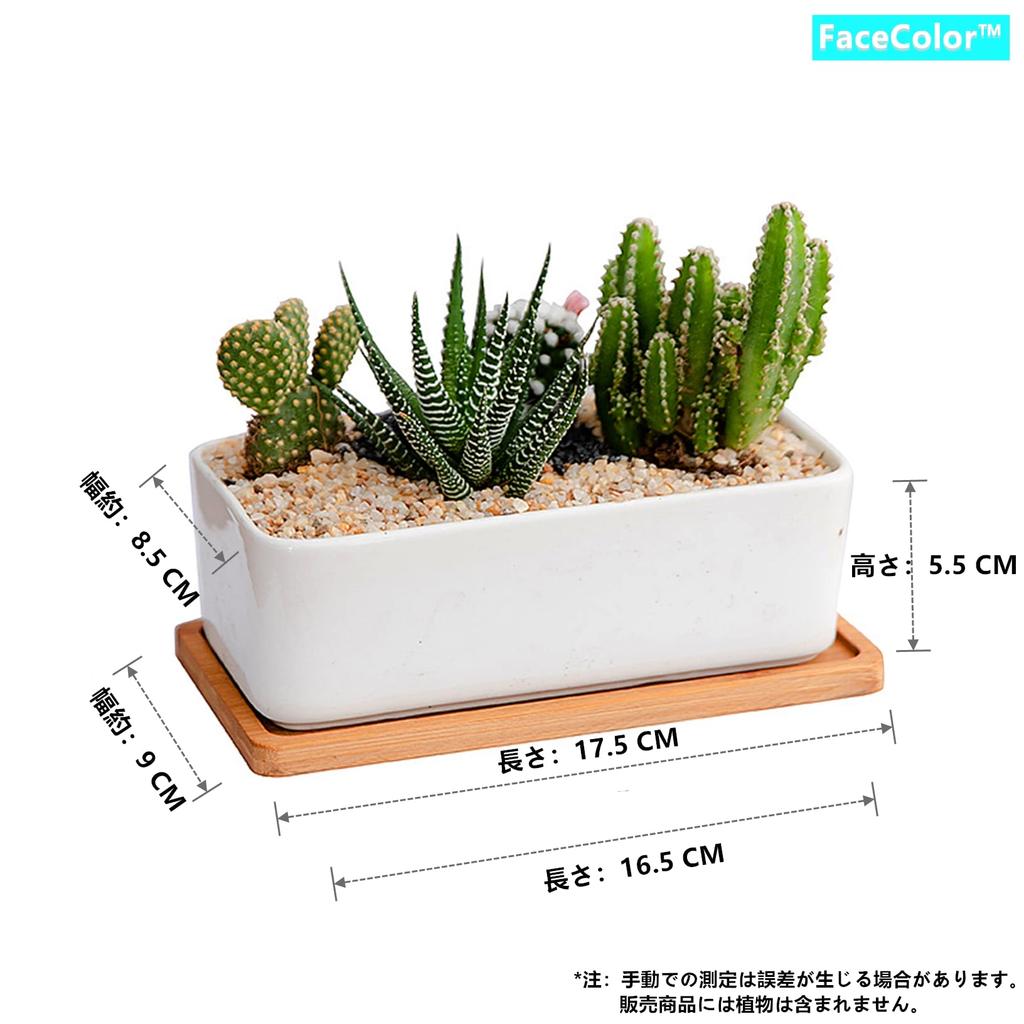 FaceColor Ceramic Succulent Cactus Set of 2 Round and One Mini Bonsai Pots with Drainage Holes and White Suitable for Living and Gardens Not Pots,