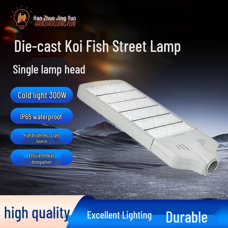LED Outdoor Road Street Light (Rich Fish Design)