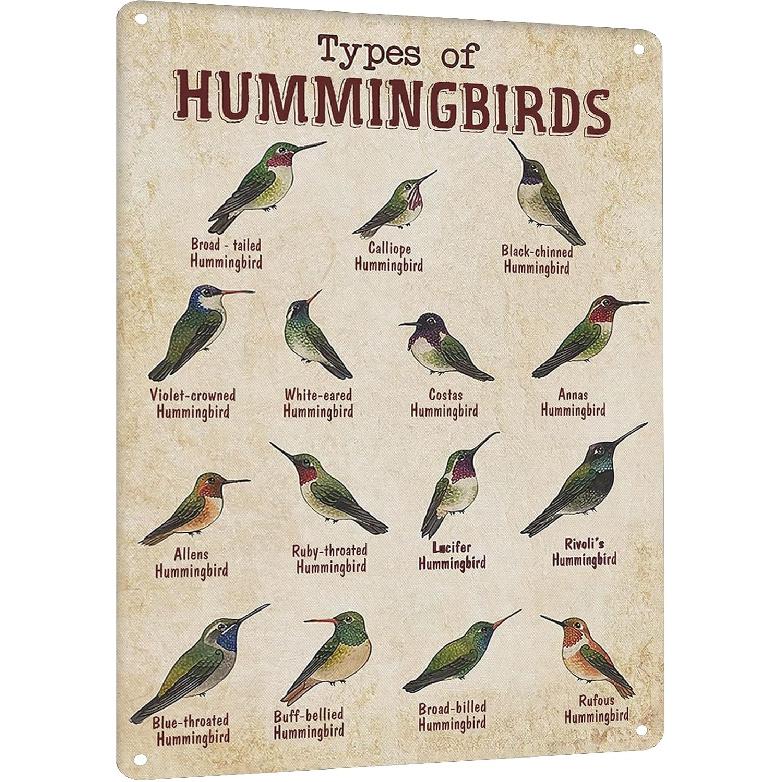 HYBLOM Vintage Hummingbird Guide Metal Sign - Types of Hummingbirds Tin Poster - Educational Bird Identification Wall Art, Office, Classroom, and