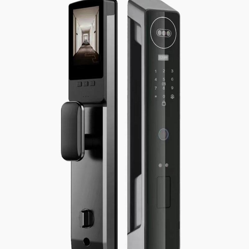 Smart Anti-Theft Door Lock: Fully Automatic Face & Fingerprint Recognition with Password & C-Level Core