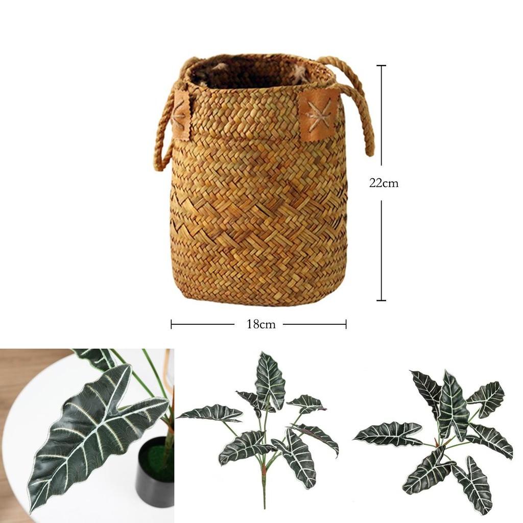 Planta Artificial Estilo Folha de Alocasia Odora com Cesta Artesanal Para Decoração de Casa