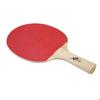 Ping-pong Racket - BODYLINE - Comet - Wood - Non-slip Rubber - Indoor