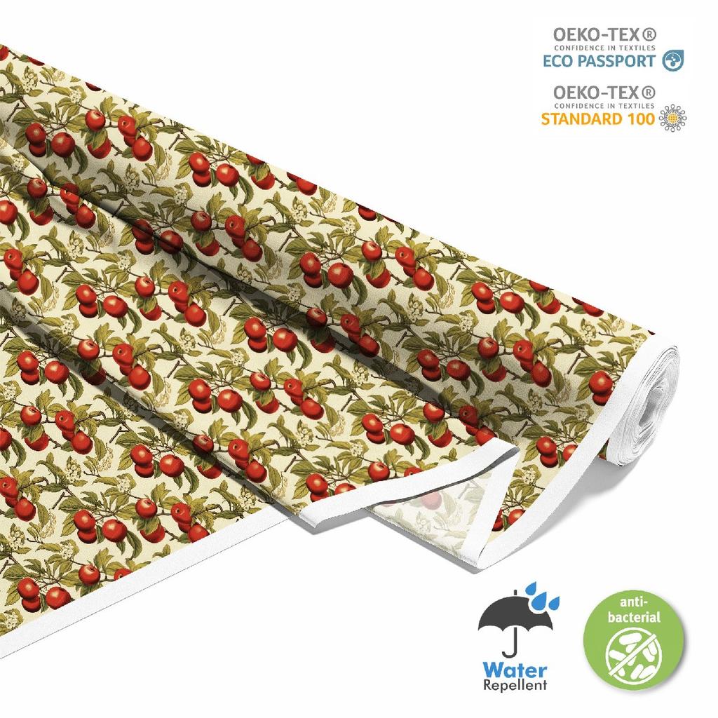 Outdoor Dekostoffe Oxford - Motiv Obst | Dx6226