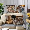 Moderne Katzen- & Smartphone-Druck Dekoratives Kissenbezug Reißverschluss Maschinenwaschbar Sofa Wohnzimmer Heimdekoration